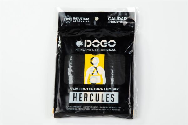 1300 1300 DOG24029 600x400