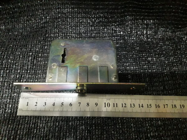 JPEG 20210629 164911 1861354424182444789 600x450