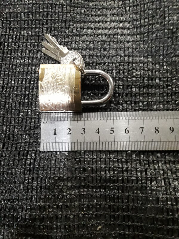 JPEG 20210630 164802 132968451653677015 600x800