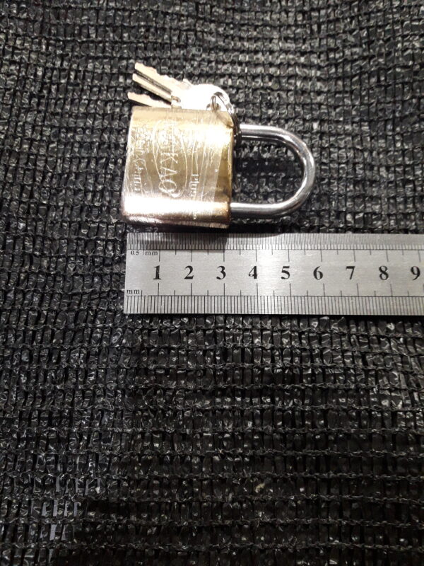 JPEG 20210630 165226 458260759178086536 600x800