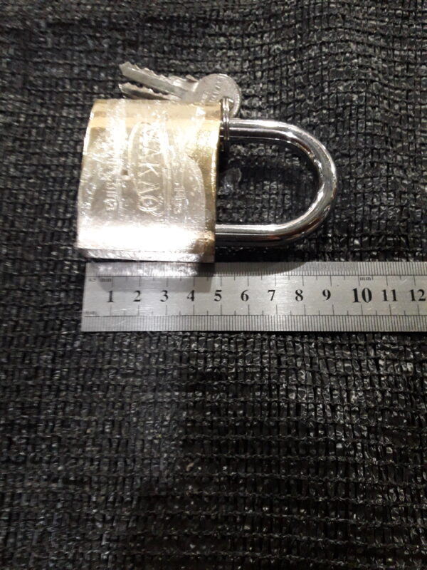 JPEG 20210630 170400 6417479701110860977 600x800