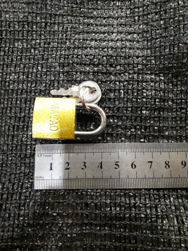 CANDADOS 25 mm. - PROLL 500 JPEG 20210630 170544 3382862349905117679 600x800