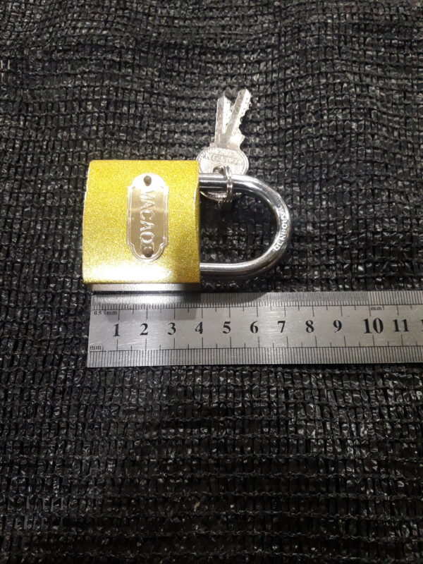 JPEG 20210630 171712 2733926775592194904 600x800