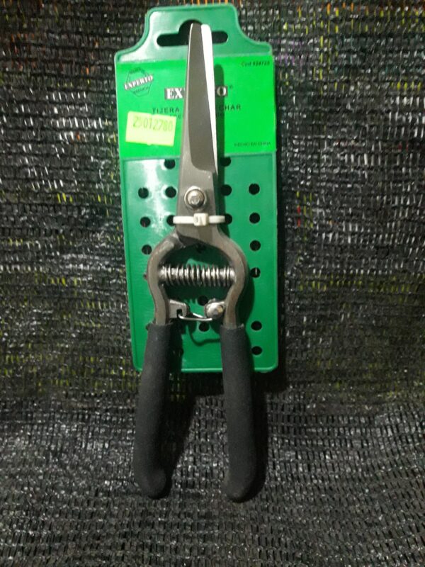 JPEG 20210714 164256 3949251434818925456 600x800