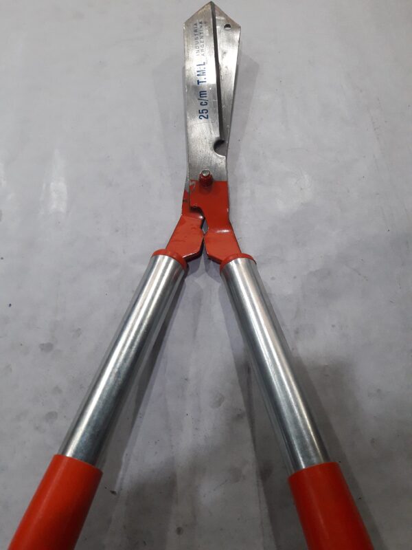 JPEG 20210902 155908 7046815457606395884 600x800