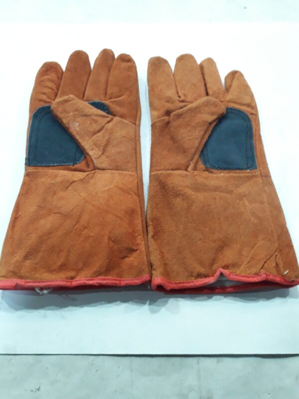 JPEG 20211018 161722 4668089526833054815 600x800