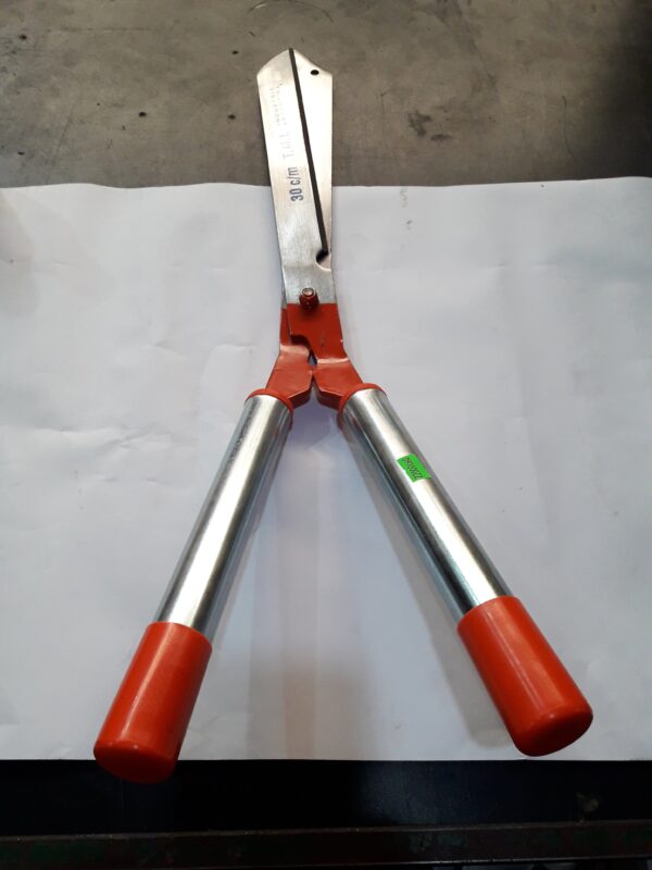 Wp 1644414824937 600x800